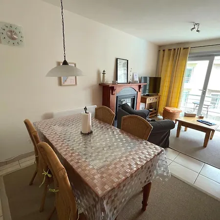 Stylish With A Swimming Pool By The Sea T129 * Ostende